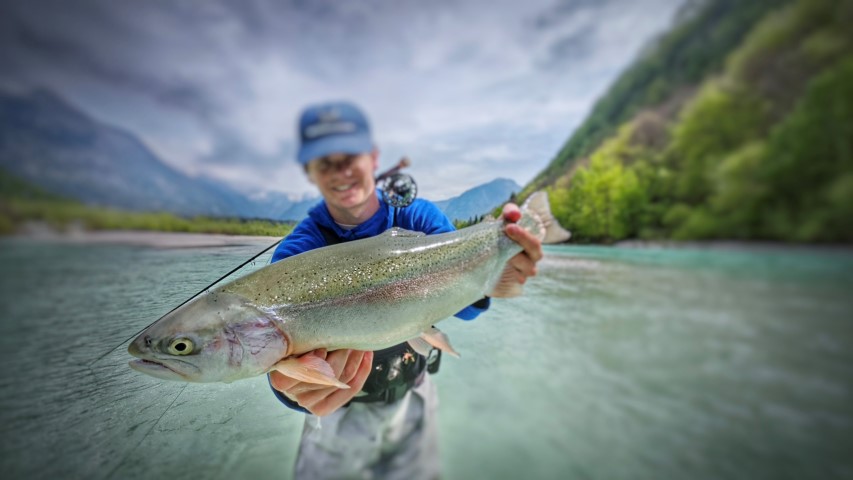 Soca rainbow trout.